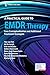 A Practical Guide to EMDR Therapy: Case Conceptualization and Additional Treatment Strategies