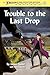 Trouble to the Last Drop (Trouble: Girl Detective Book 5)