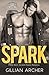 Spark: A Bad Boy's Second Chance Romance (Burns Brothers Series)