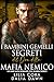 I Bambini Gemelli Segreti d...