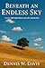 Beneath an Endless Sky: A 1...