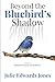 Beyond the Bluebird's Shadow: A Memoir of Shattered Dreams and Resilience