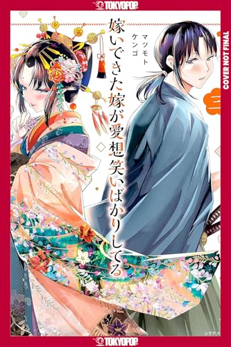 My New Wife's Fake Smile, Volume 3 (Paperback)