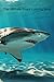 Shark Coloring Book by April Clark