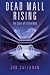 Dead Mall Rising: The Story of El Con Mall
