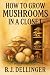 How to Grow Mushrooms in a ...