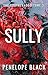 Sully: Une romance dark (The Brotherhood (French Edition) t. 3)