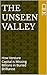 The Unseen Valley: How Vent...