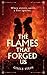 The Flames That Forged Us: ...