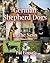 German Shepherd Dogs: In th...