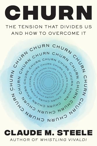 Churn: The Tension That Divides Us and How to Overcome It (Hardcover)