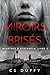 Mirøirs brisés by CS Duffy