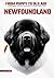 The Complete Newfoundland O...