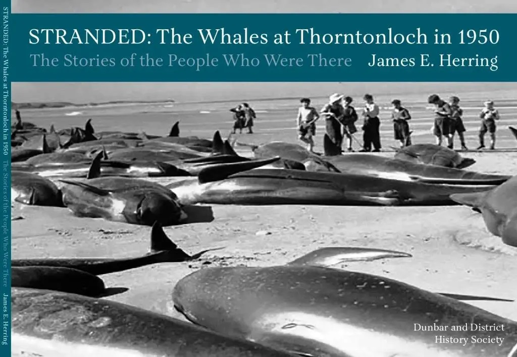 Stranded: The Whales at Thorntonloch in 1950: The Stories of People Who Were There