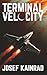 Terminal Velocity