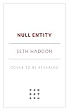 Null Entity by Seth Haddon