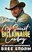 My Secret Billionaire Cowboy by Bree Storm
