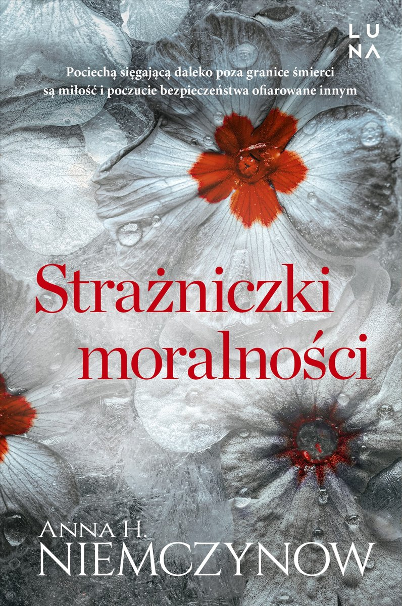 Strażniczki moralności (Paperback)