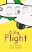 A Big Flight by Ziora Adighibe A Big Flight by Ziora Adighibe