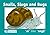 Snails, Slugs & Bugs: ai like snail (TREEFROG PHONICS)
