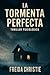 LA TORMENTA PERFECTA : (Thriller psicológico) (Spanish Edition)