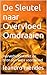 De Sleutel naar Overvloed O...