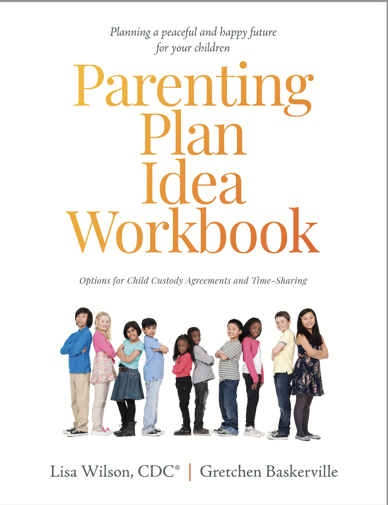Parenting Plan Idea Workbook (Paperback)