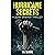 Hurricane Secrets by T.R. Sloane