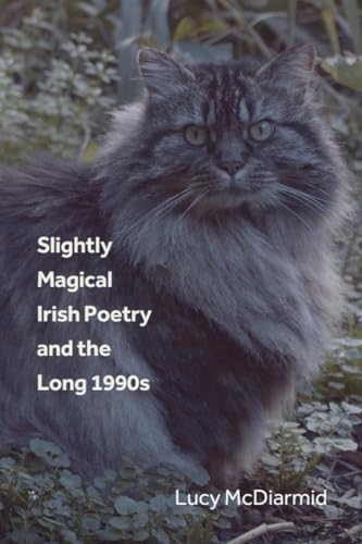 Slightly Magical Irish Poetry and the Long 1990s (Hardcover)