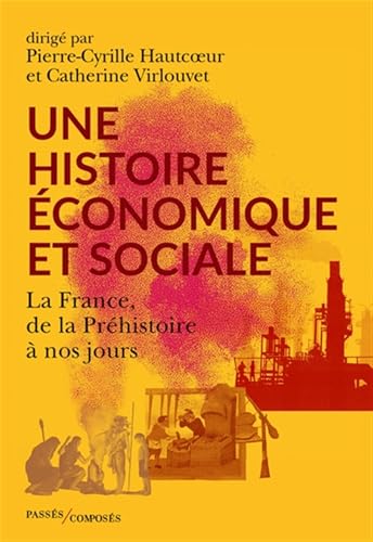 Une histoire économique et sociale: La France, de la Préhistoire à nos jours (Paperback)