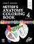 Netter's Anatomy Coloring Book