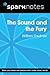 The Sound and the Fury (SparkNotes Literature Guide) (SparkNotes Literature Guide Series)