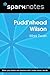 Pudd'nhead Wilson (SparkNot...