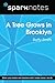 A Tree Grows in Brooklyn (S...