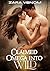 Claimed omega into wild: A wild claim reverse harem omegaverse romance. (Wild Omega Chronicles)