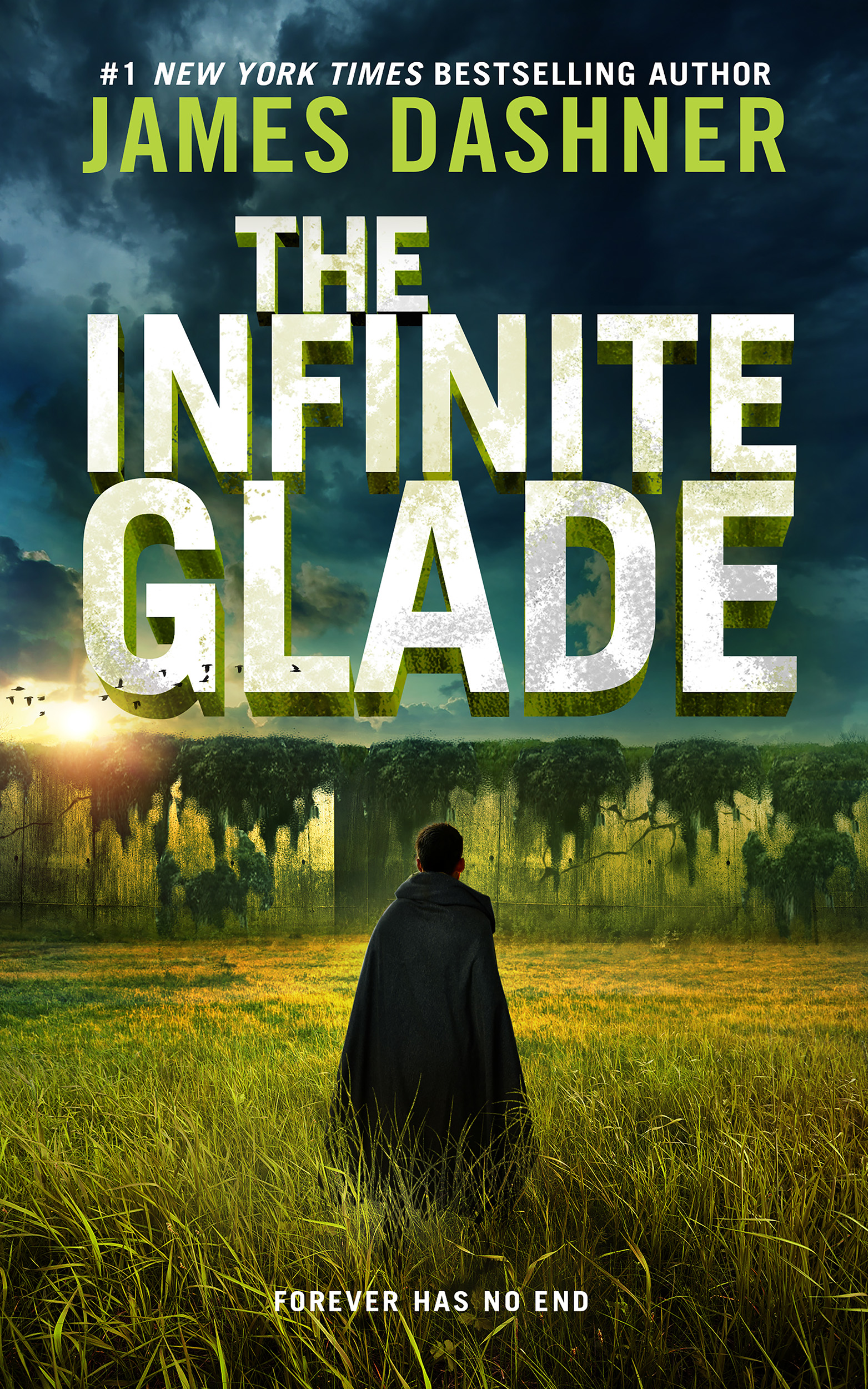 The Infinite Glade (The Maze Cutter, #3)