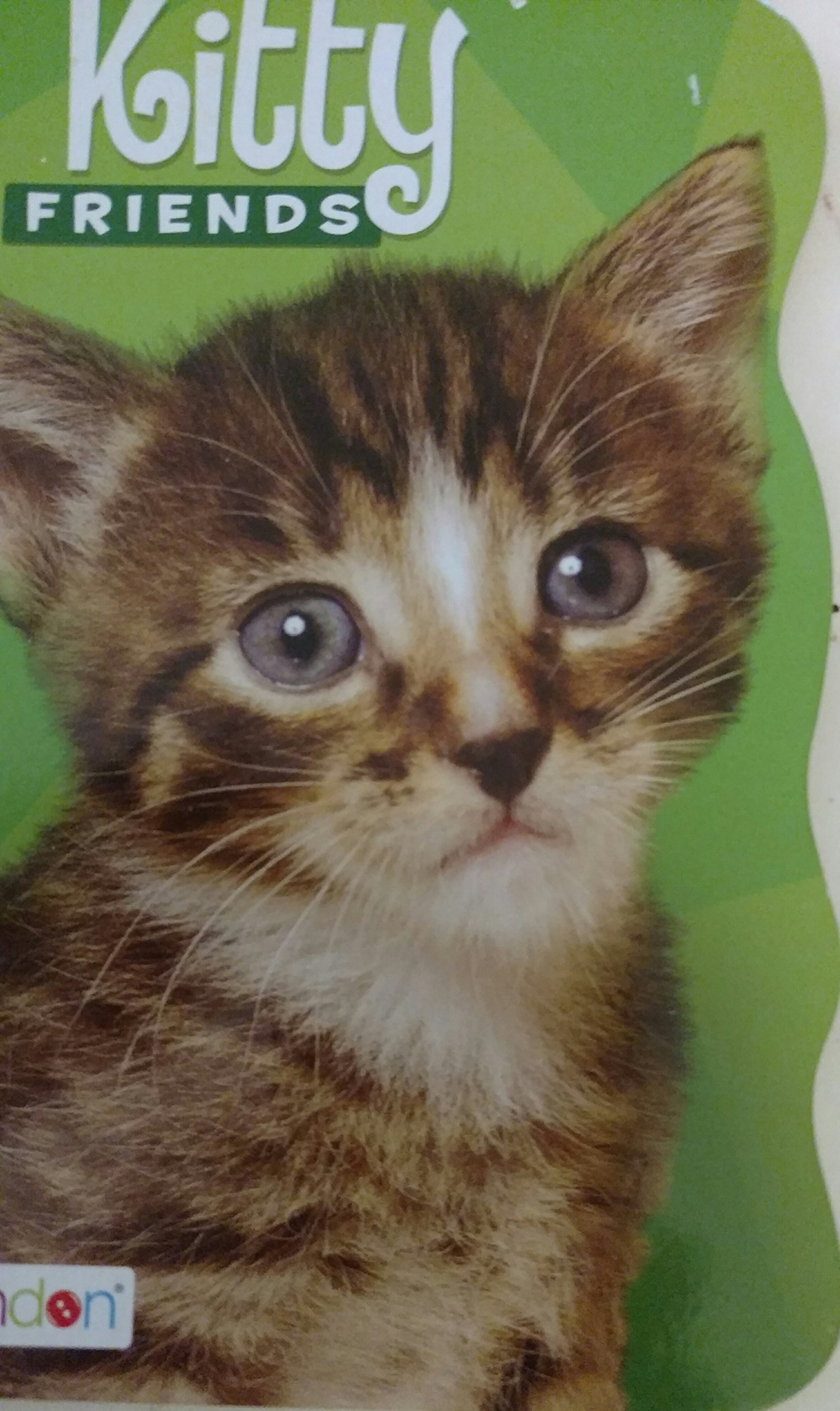 Kitty Friends (Board book)