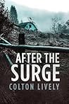 After the Surge: ...