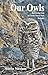 Our Owls: Burrowing Owls in...