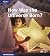 How Was the Universe Born? ...