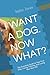 I WANT A DOG. NOW WHAT?: Th...
