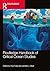 Routledge Handbook of Criti...