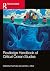 Routledge Handbook of Critical Ocean Studies