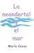 LA NEANDERTAL Y EL MAR: una historia apasionante y ancestral