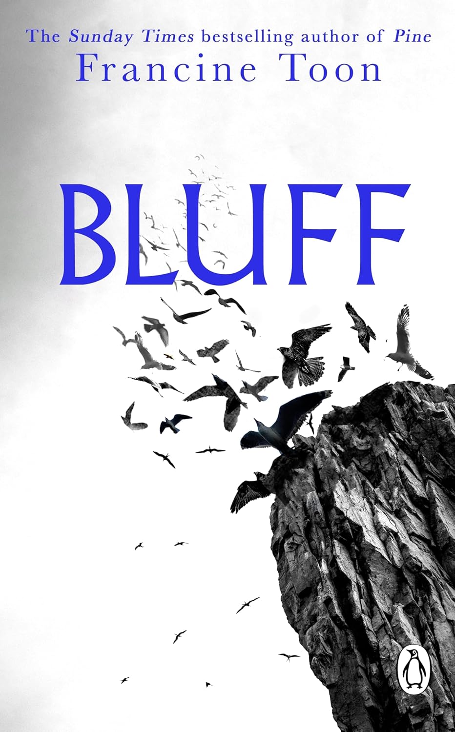 Bluff