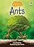 Ants (Beginners)