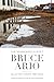 The Minneapolis Poet by Bruce Ario