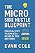 Micro-Side Hustle Blueprint