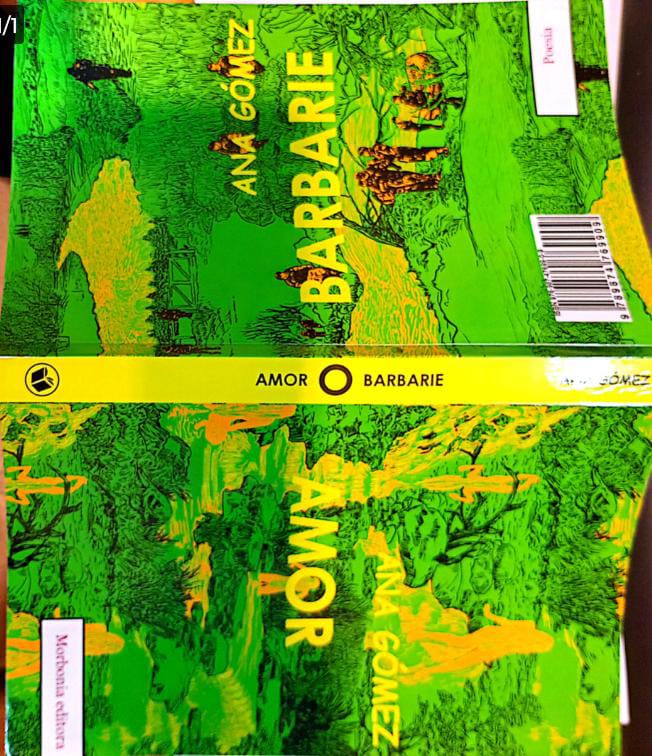 Amor o barbarie (Paperback)