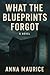 What The Blueprints Forgot